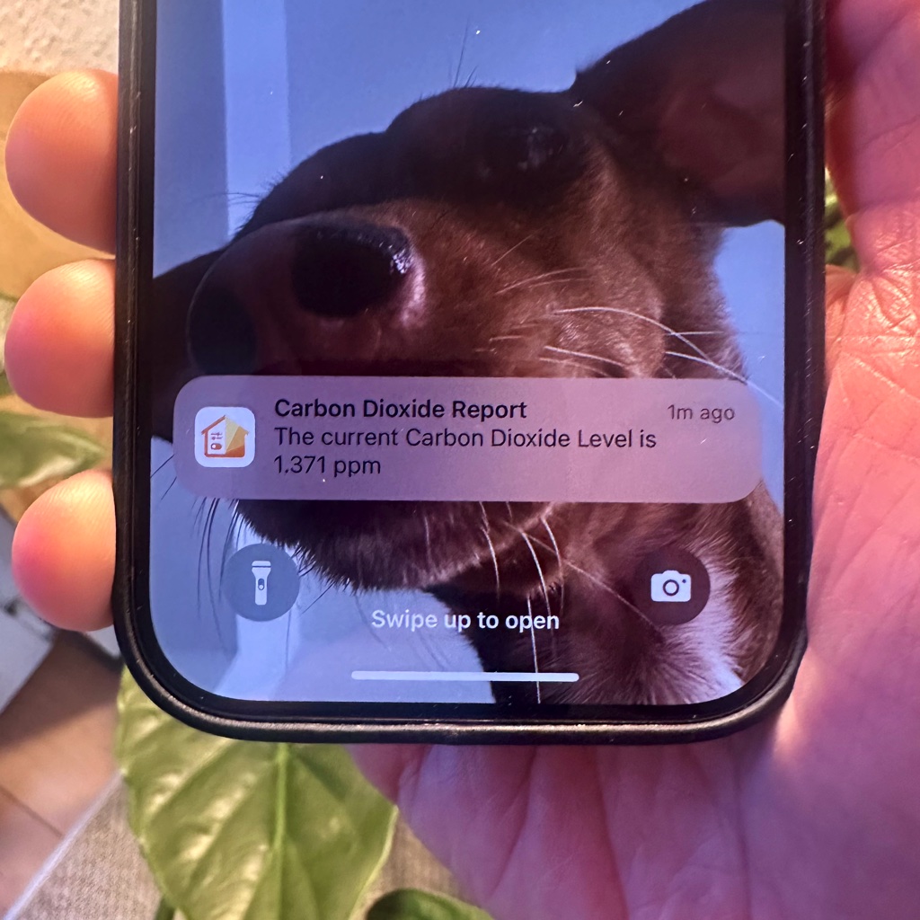 Notification settings in Apple Home