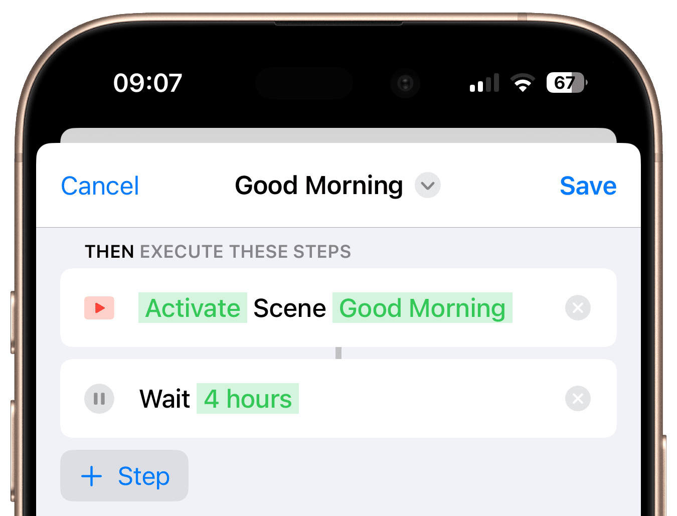 Workflow steps with execute scene and wait