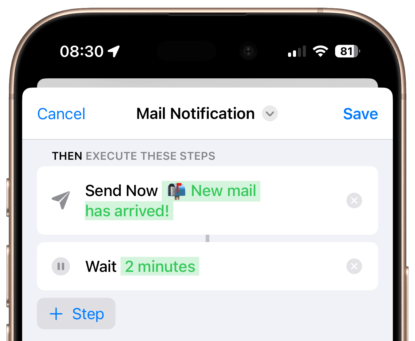Notification and wait steps for mail workflow